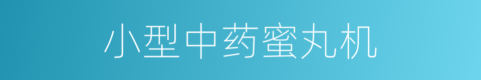 小型中药蜜丸机的同义词