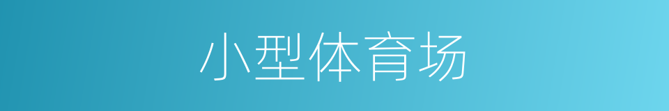小型体育场的同义词