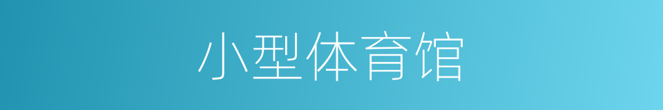 小型体育馆的同义词