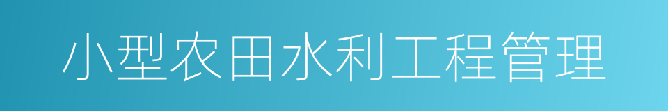 小型农田水利工程管理的同义词