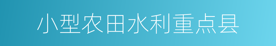 小型农田水利重点县的同义词