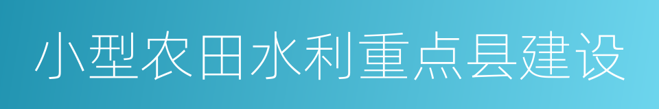 小型农田水利重点县建设的同义词