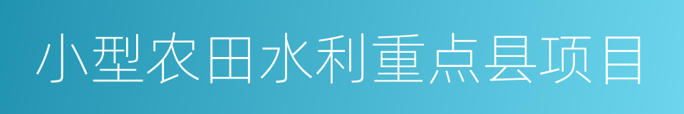 小型农田水利重点县项目的同义词