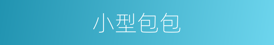 小型包包的同义词