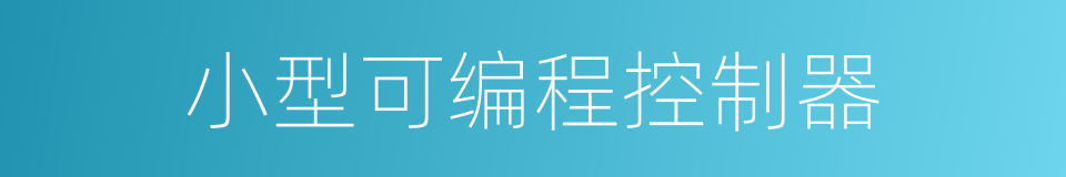 小型可编程控制器的同义词