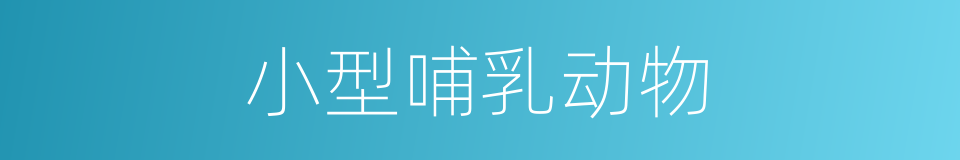 小型哺乳动物的同义词