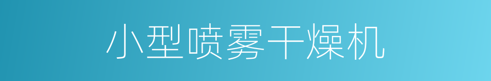 小型喷雾干燥机的同义词