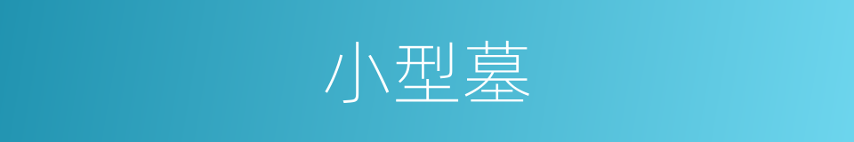 小型墓的同义词