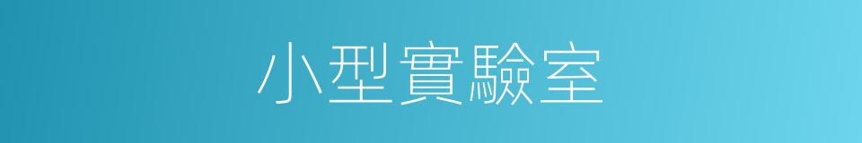 小型實驗室的同義詞