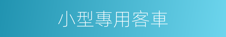 小型專用客車的同義詞