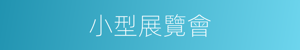 小型展覽會的同義詞