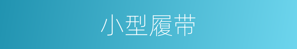 小型履带的同义词