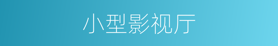 小型影视厅的同义词