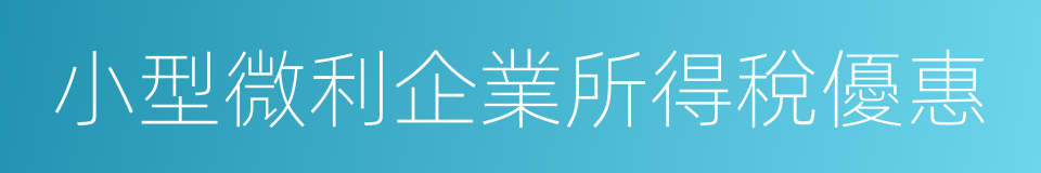 小型微利企業所得稅優惠的同義詞