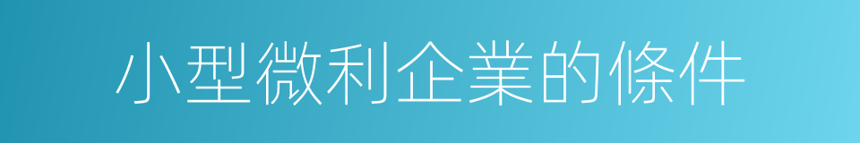 小型微利企業的條件的同義詞