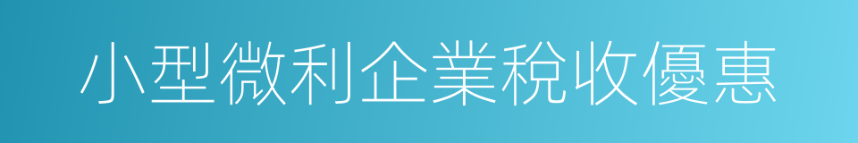 小型微利企業稅收優惠的同義詞