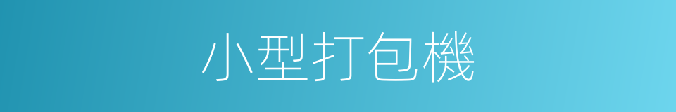 小型打包機的同義詞