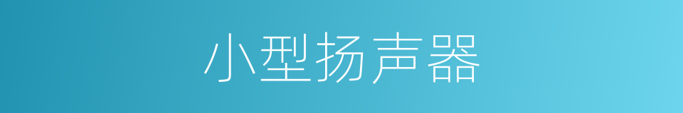 小型扬声器的同义词