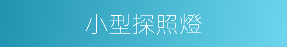小型探照燈的同義詞