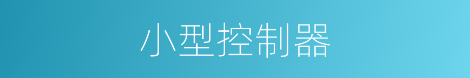 小型控制器的同义词