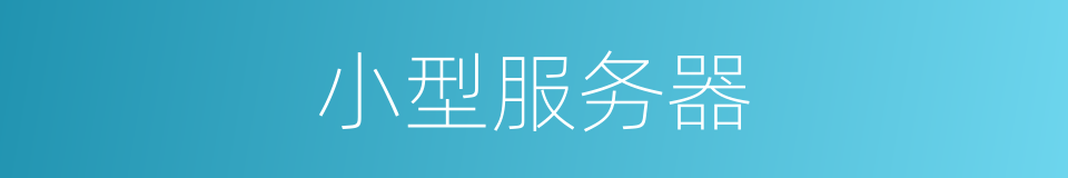 小型服务器的同义词