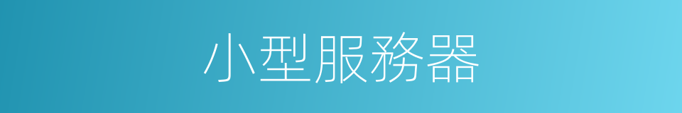 小型服務器的同義詞