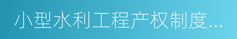 小型水利工程产权制度改革的同义词