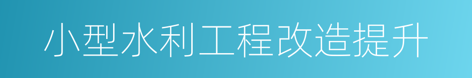 小型水利工程改造提升的同义词