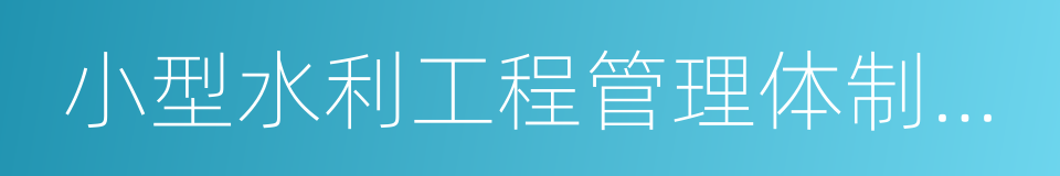 小型水利工程管理体制改革的同义词