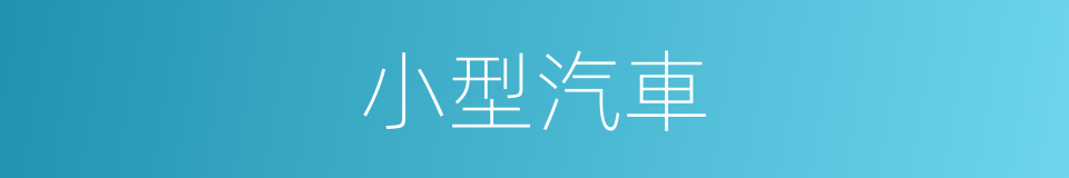 小型汽車的意思