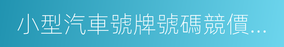 小型汽車號牌號碼競價發放管理暫行辦法的同義詞