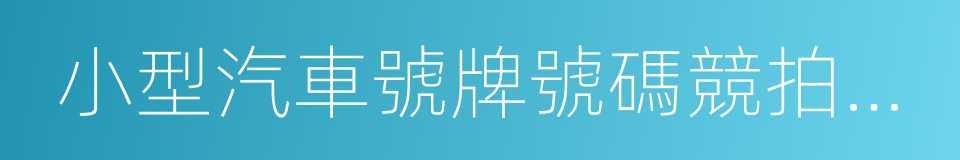 小型汽車號牌號碼競拍結果確認書的同義詞