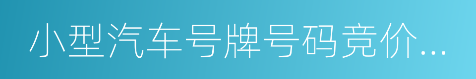 小型汽车号牌号码竞价发放管理暂行办法的同义词