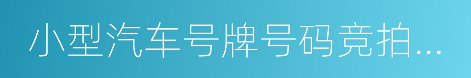 小型汽车号牌号码竞拍结果确认书的同义词