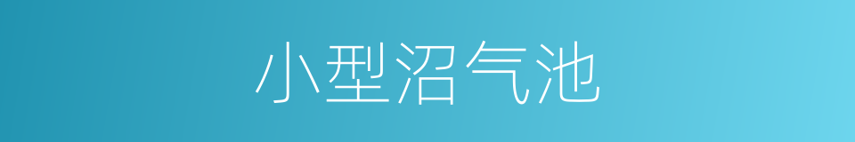 小型沼气池的同义词