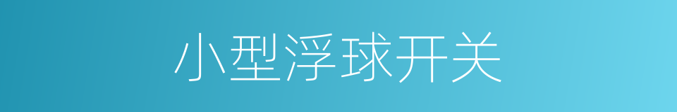 小型浮球开关的同义词