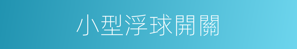 小型浮球開關的同義詞