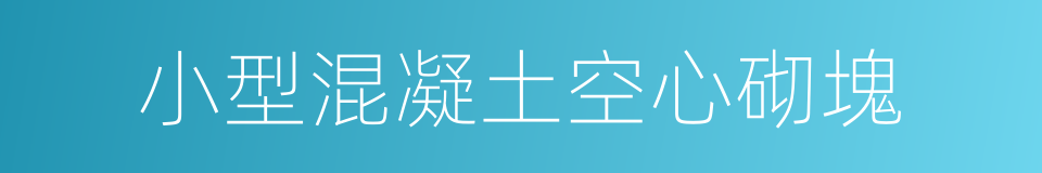 小型混凝土空心砌塊的同義詞