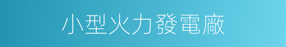 小型火力發電廠的同義詞