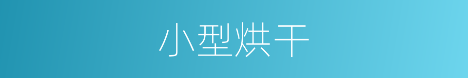 小型烘干的同义词