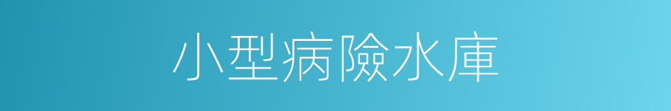 小型病險水庫的同義詞