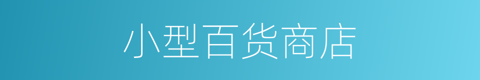 小型百货商店的同义词