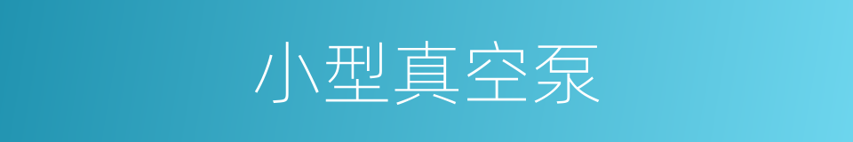 小型真空泵的同义词