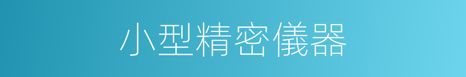 小型精密儀器的同義詞