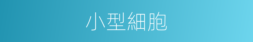 小型細胞的同義詞