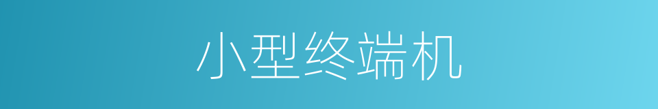 小型终端机的同义词
