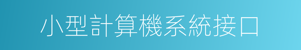 小型計算機系統接口的同義詞