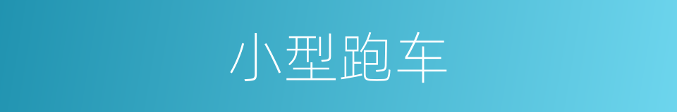 小型跑车的同义词