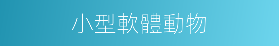 小型軟體動物的同義詞
