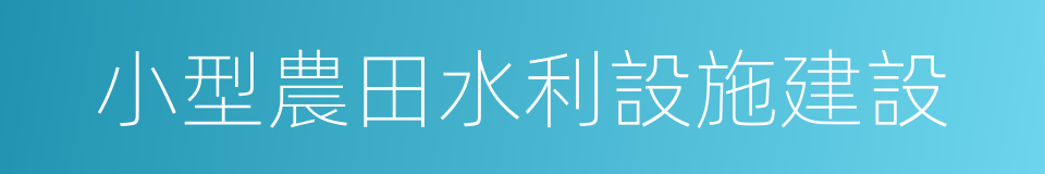 小型農田水利設施建設的同義詞